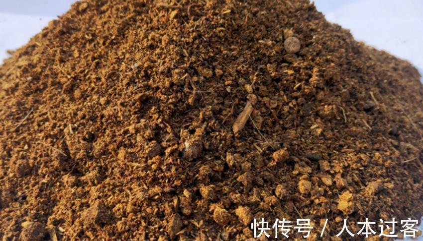 养殖|三种不花钱的植料,用来养殖兰花和君子兰真不错,经验分享