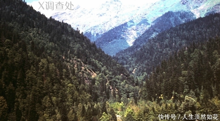 老家|斯大林的老家格鲁吉亚