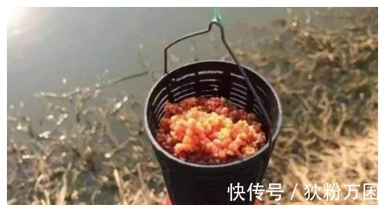 冬季钓鱼巧打窝,学会这几点,冬钓不再是难题