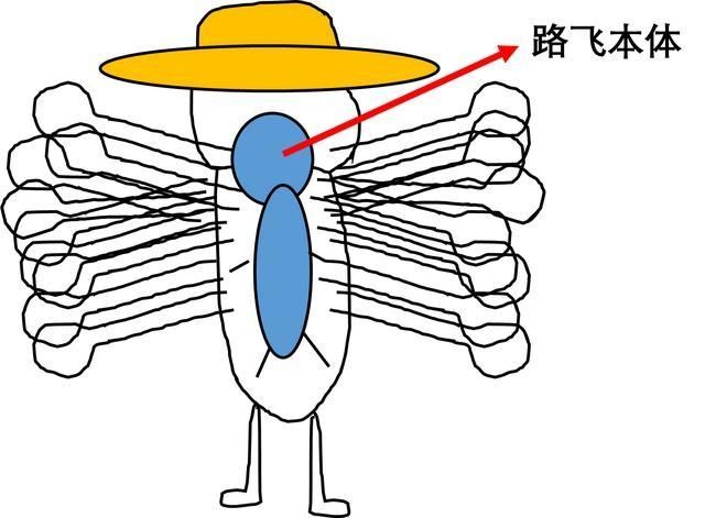 超人系|「数字哥分析」《海贼王》橡胶果实的觉醒猜想