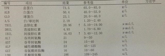 甲胎蛋白|肝炎加重,转氨酶直升,有2种食物是肝炎宿敌,吃了肝脏慢慢变好