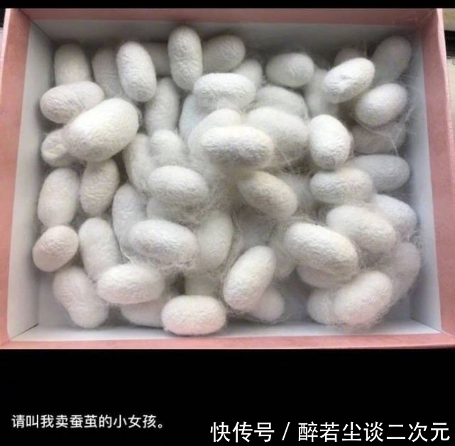 客服|某宝的客服有多敷衍？在打差评的边缘疯狂试
