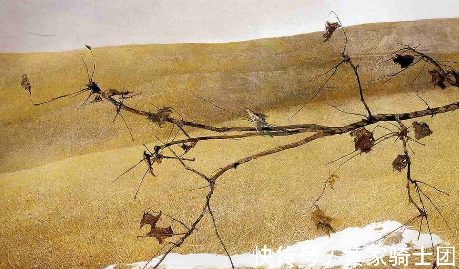 肖像画&十五年间给邻居画了200多幅人体画——天赋异禀的画家安德鲁·怀斯