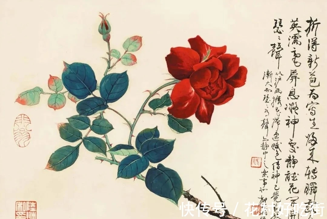 国画家$国画家|陆抑非的月季花