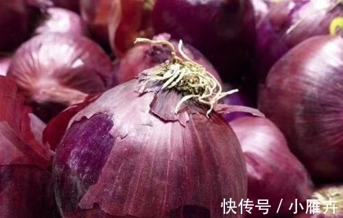 小丁|洋葱鸡蛋饼:口感香甜酥脆,简单又美味的早餐,大人小孩都爱吃~