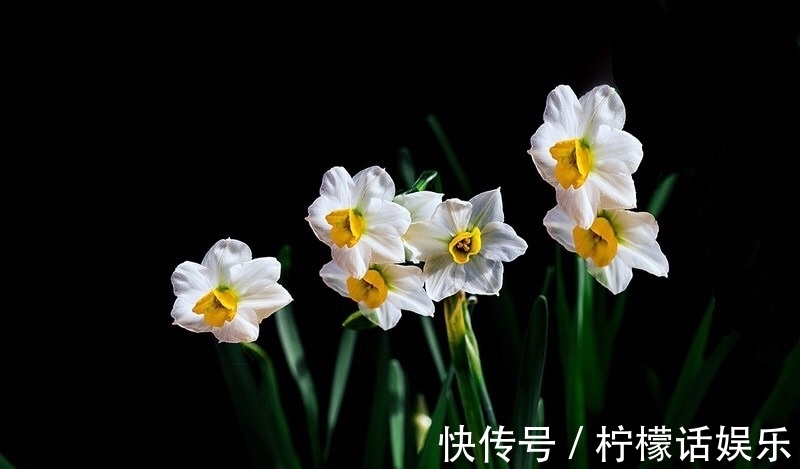 小寒#三首宋诗,三候小寒花信风,三个不同的启示。