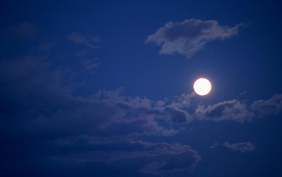 百感交集!杜甫的一首戏赠之作,百感交集,一气呵成,尾句更显意犹未尽