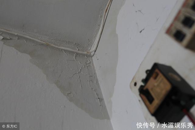 顶楼|楼房的整栋楼里有一层被誉为“凤凰层”，你知道是哪一层吗？