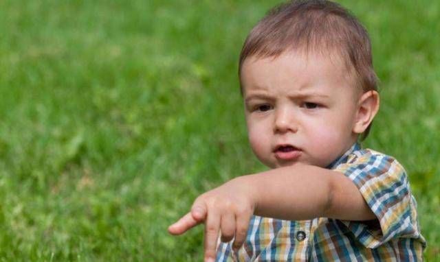 米糊|除了米糊，妈妈们还能为孩子们做些什么辅食呢过来看看