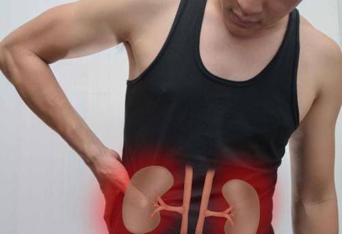  动物|滴酒不沾，却被痛风盯上，医生叹息：这样吃，肾衰竭早晚的事