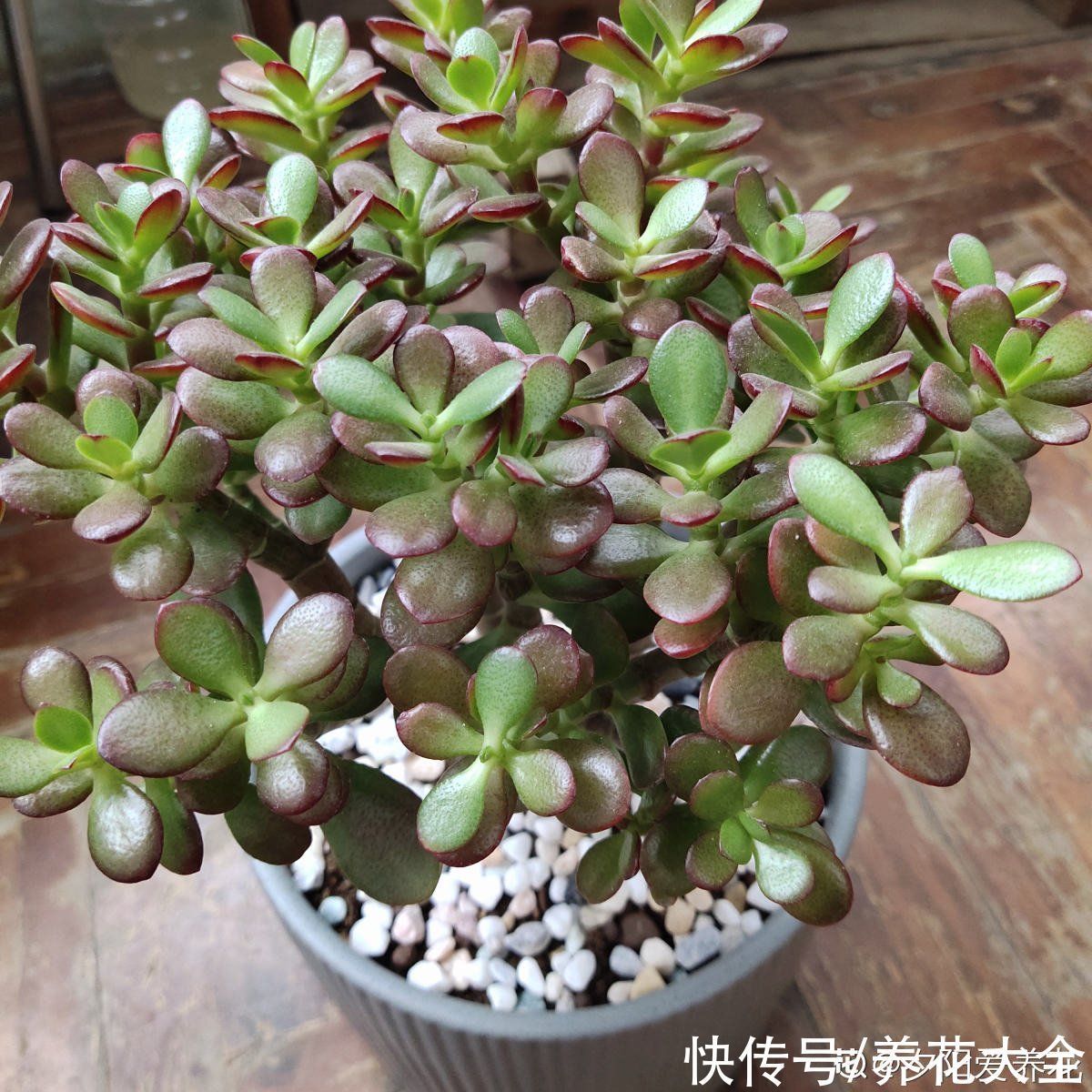 今年下半年起,农村严查3种“小生意”,严重的会被直接判刑