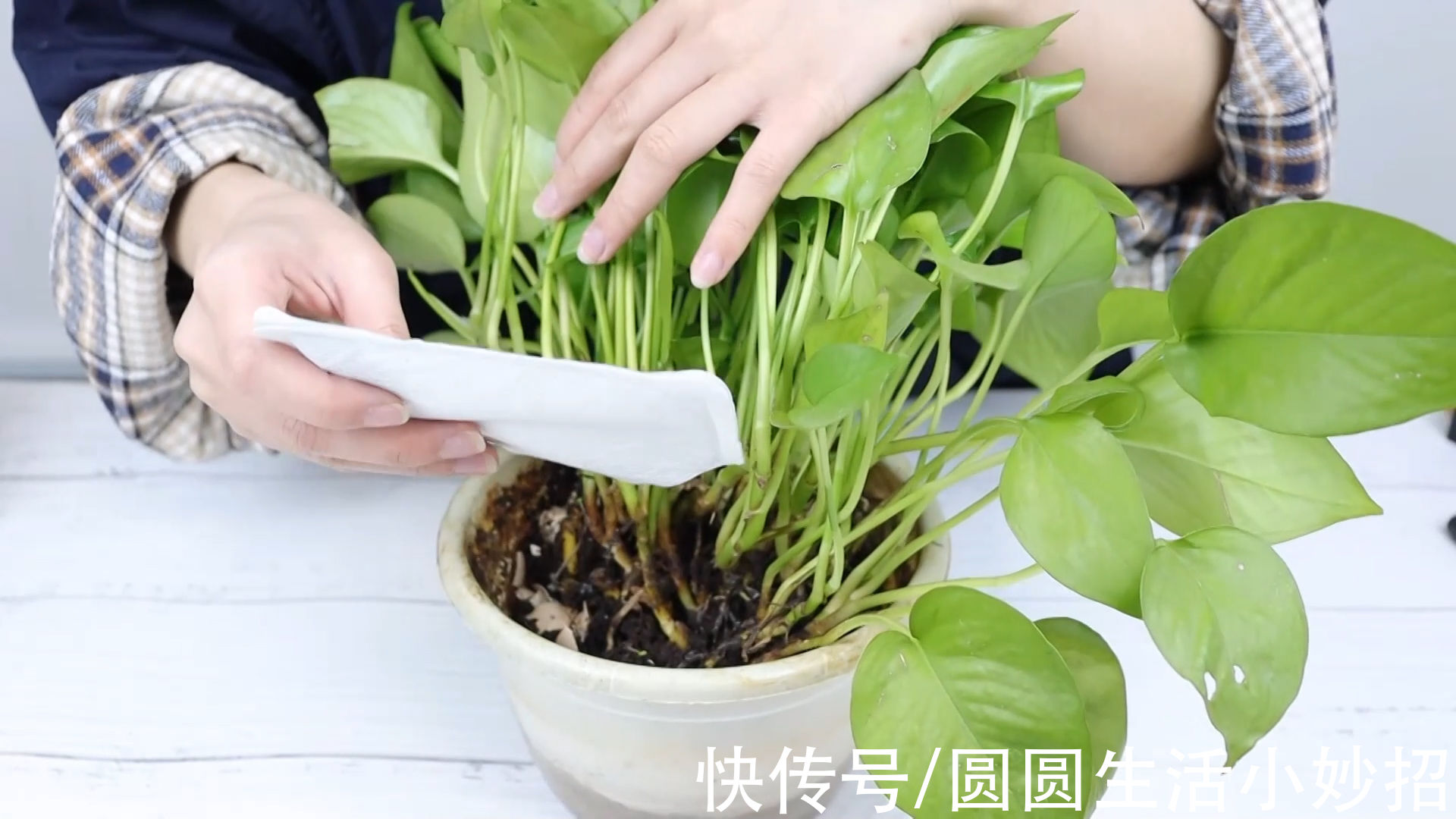 扔用完的暖宝宝,等于往外扔钱,把它撕开放家里作用大,太实用了