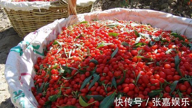 泡水|枸杞三斤可能抵不过此物一钱,泡水喝点,降火补脾,肝慢慢变好