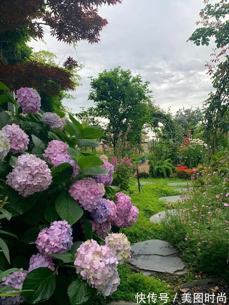 满园|2年前,买了一栋带院子的房子,在高楼喧嚣中建一个“梦幻花园”