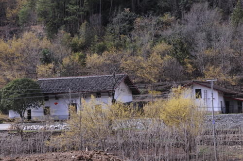 沙窝|神奇的佛坪探秘之旅！坐公交去赏茱萸，一不小心到了熊猫保护区