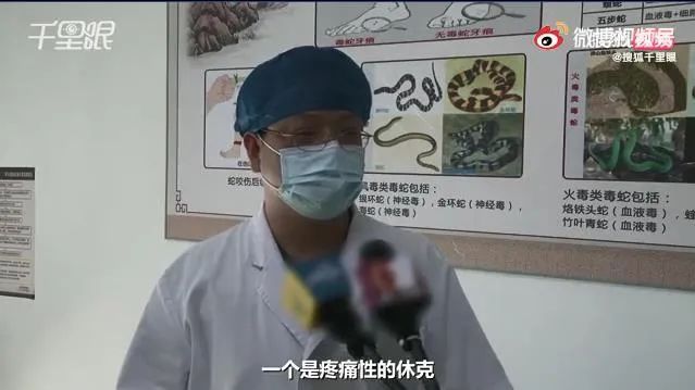 蜂虫|小心！广东一男子被这种昆虫叮咬后休克！