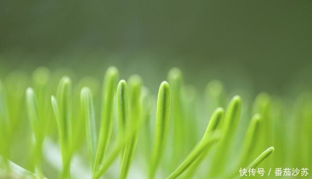 子女|人到晚年,愿意和子女一起生活吗?3个老年人说了大实话