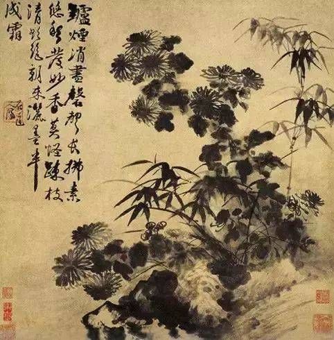  菊石图|中国历代咏菊图（一）