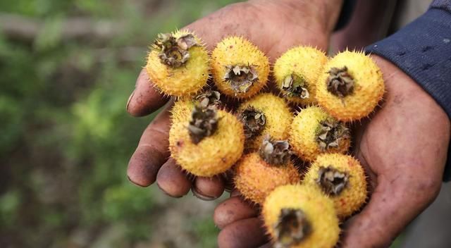 胶原蛋白|不易衰老的女人,多半爱做这4件事,若你符合,真值得炫耀