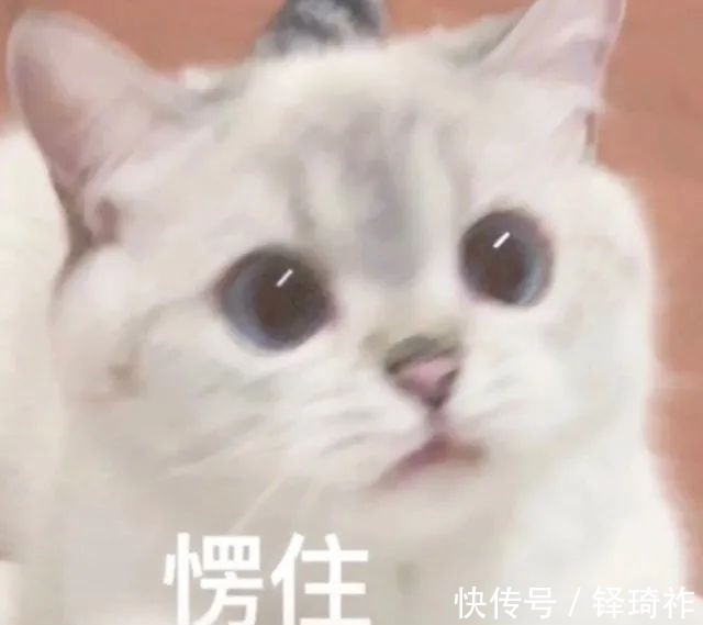 knock|yyds, nbcs, xswl 都是什么意思?00后“网络黑话”你认识几个?