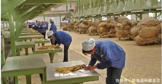 超过|一个“永不破产”的公司，从不打广告，每年给还能上税超过一万亿