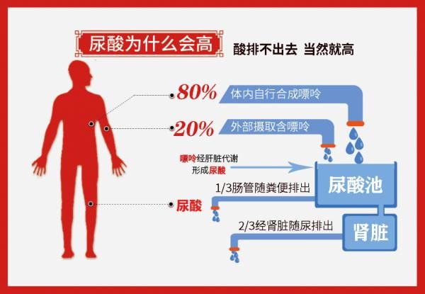 服用|您还记得前段时间吃的小龙虾、喝的啤酒吗？秋后来“算账”啦！
