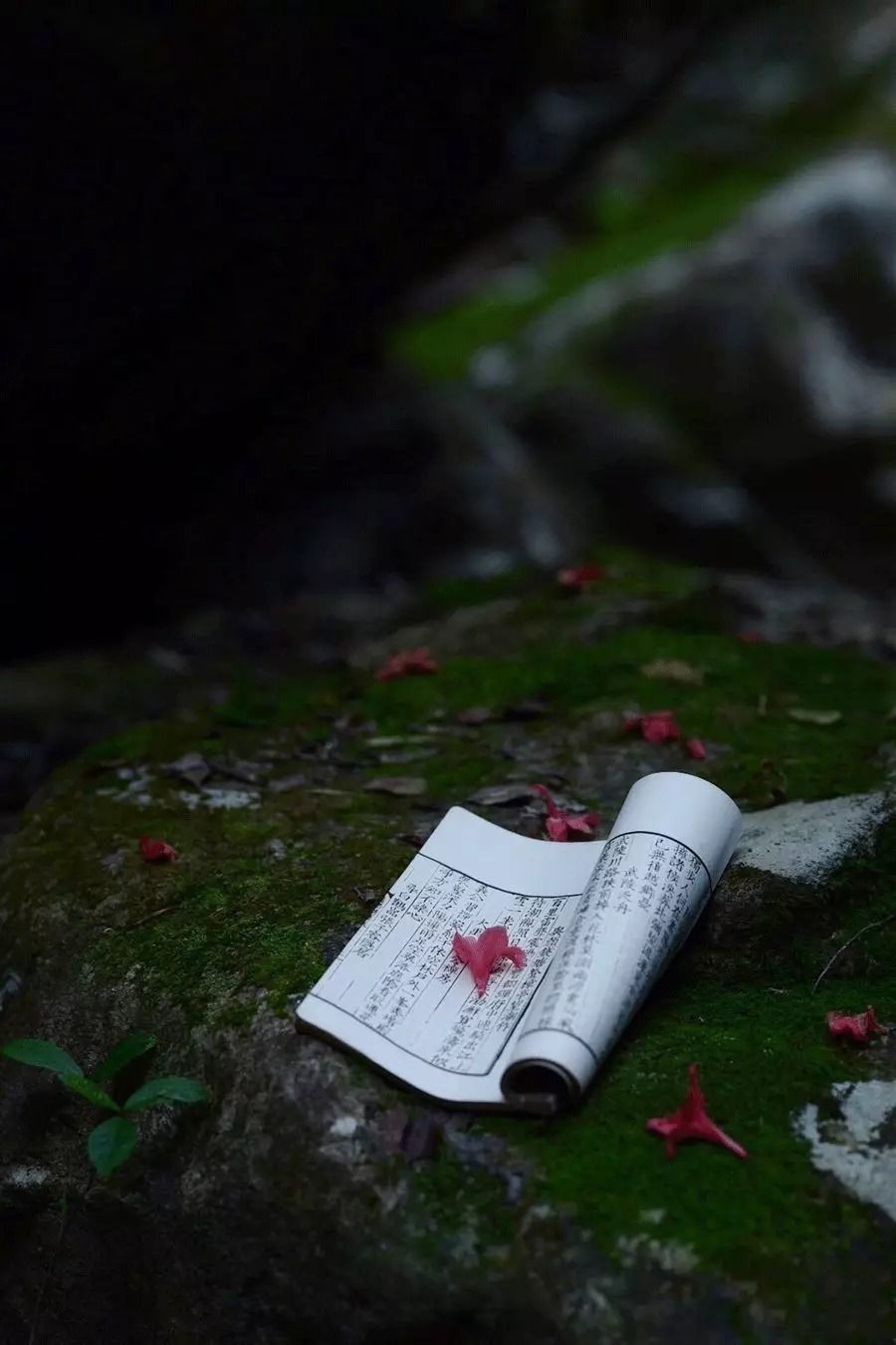 小孩|真正爱惜你的孩子,就请千万不要损伤孩子的福报!