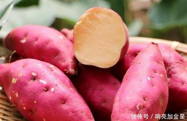 原藏甘薯如此简单,放半年不干不芽,放的时间越久越甜