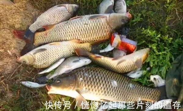 野钓不会调漂?那就用调平水,简单快速而且实用,适合各种鱼情!