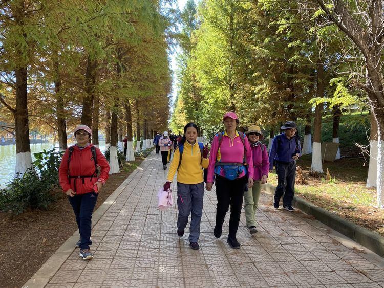 船房河走到滇池边，冬日赏海鸥、走湿地，惬意