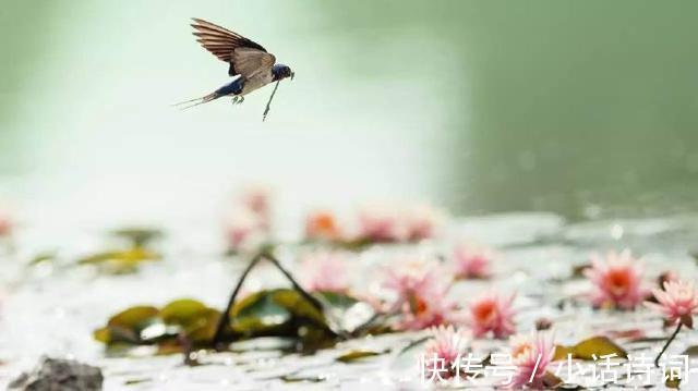 浣溪沙|一曲新词酒一杯,晏殊在暮春时写的这首婉约词,读来很唯美很伤感