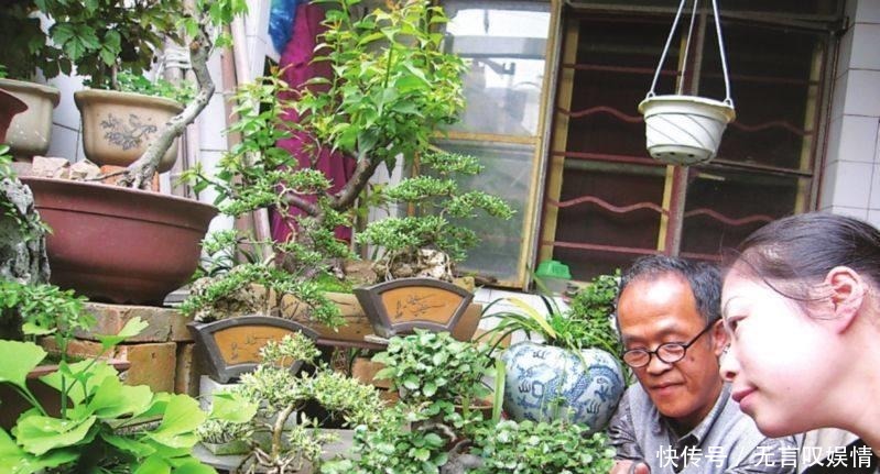 爆盆|别浇水了,花都是被你浇死的!老园丁教你几招,家里花草轻松爆盆