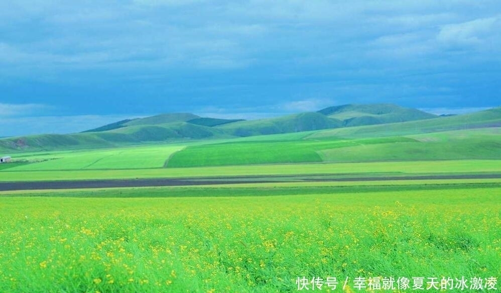 为什么草原上只有草,却看不见树这么多年,可算明白了