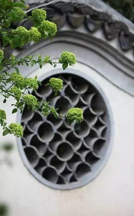 庭院|世间最美的院子：中式庭院，那是一个桃花源