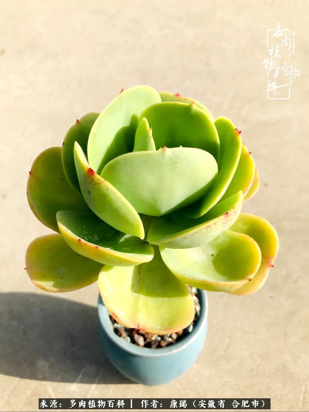 养肉之路，道阻且长，累的是身体，净的是心灵！