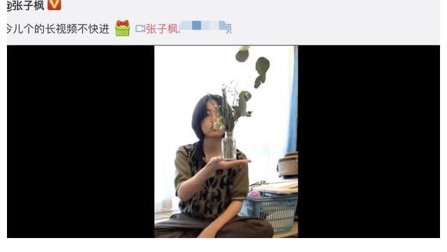 唐人街探案|张子枫晒20岁生日vlog，公开居住环境，和《向往的生活》中很不同