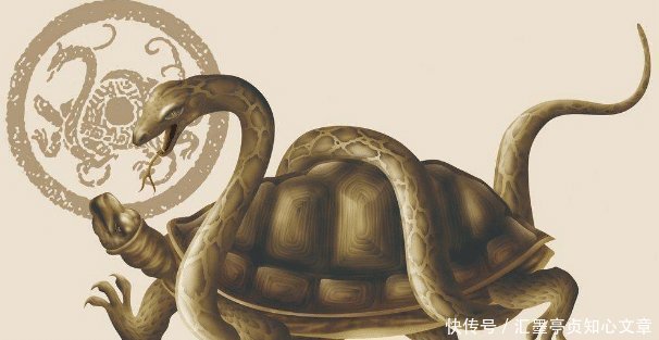 世人|世人皆知“左青龙,右白虎,前朱雀,后玄武”,那中间的又是谁
