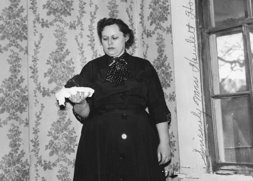 安·霍奇斯 唯一一个被陨石砸中的人:本可卖出高价,最后捐给了博物馆