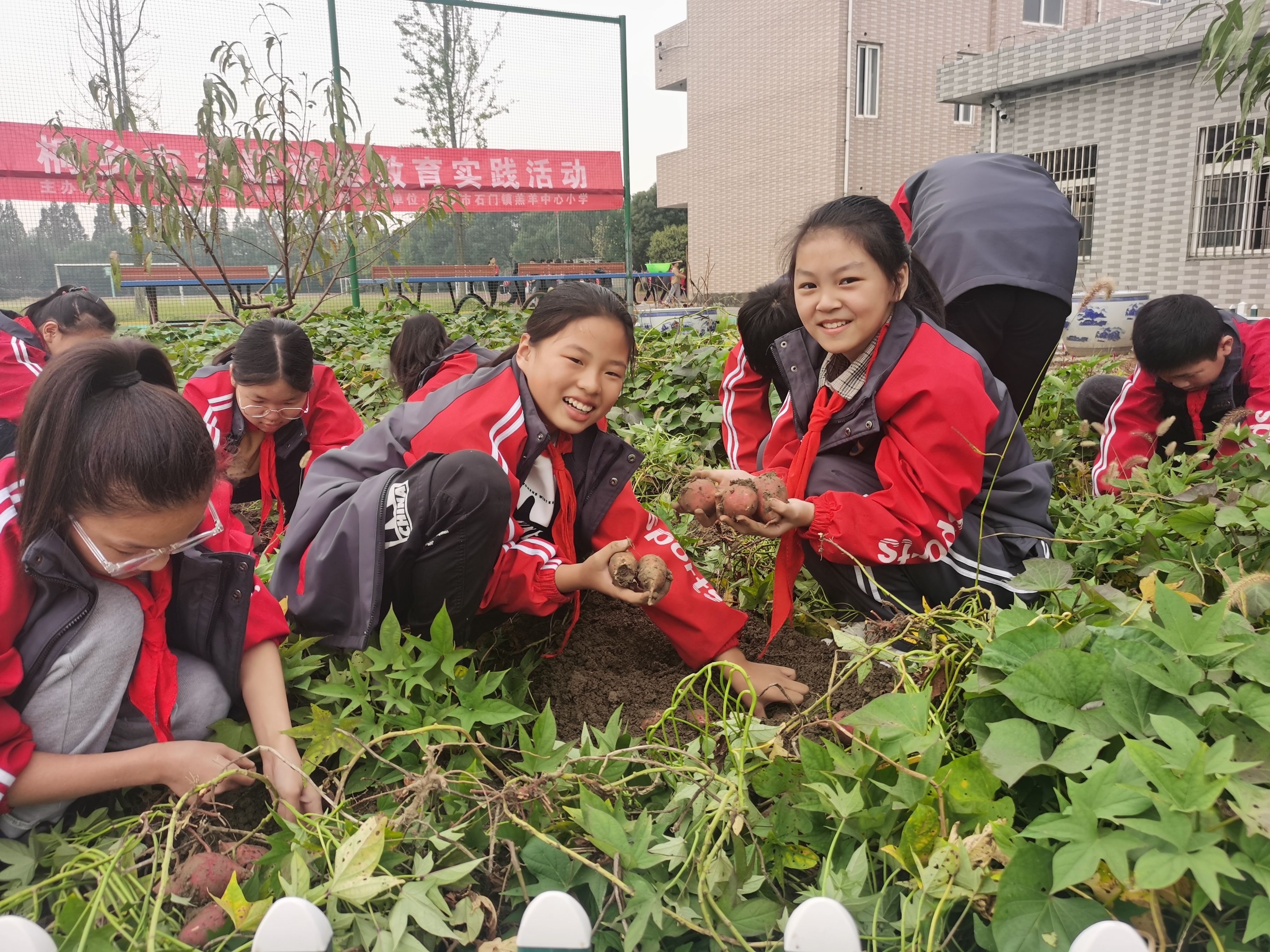 人民小学|劳动教育成就美好未来！桐乡这些学校劳动实践丰富多彩→