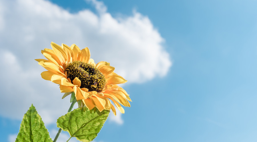 钱财大|7天内“不得了”,钱财大涨,即将走上发财之路的生肖