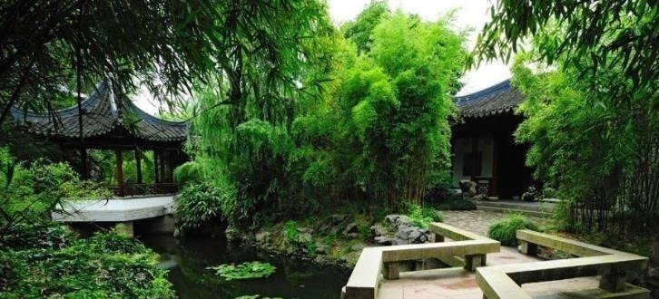 刘姥姥！刘姥姥经过潇湘馆，一不小心惹得众人开怀大笑，暴露林黛玉的陋习！