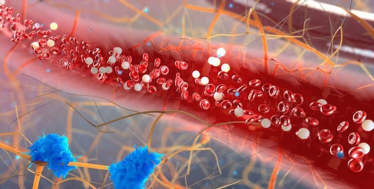 化疗后白细胞下降医生几种食物可以“升白”,效果不比打针差