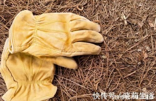 花卉|怎么调节、疏松土壤?巧用这2样,植物长势可轻松得到改善