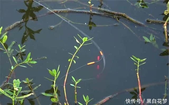 钓鱼技巧：七星漂钓组的“功效”，好像被低估了