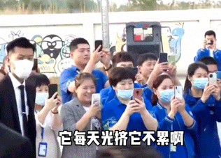 家乡|论明星回家只服邓伦,用心支持家乡产业,认领小牛亲自起名超暖心