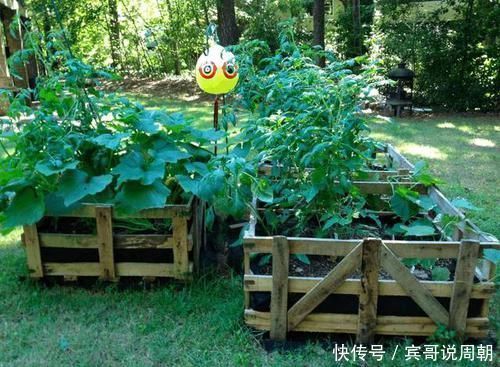 养花|朋友用生活废料制作的花床,都不用两百块