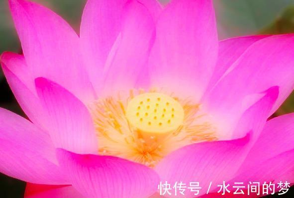 水木相生局|10月份，鸿运当头，4属相迎财运遇贵人，生活幸福美满