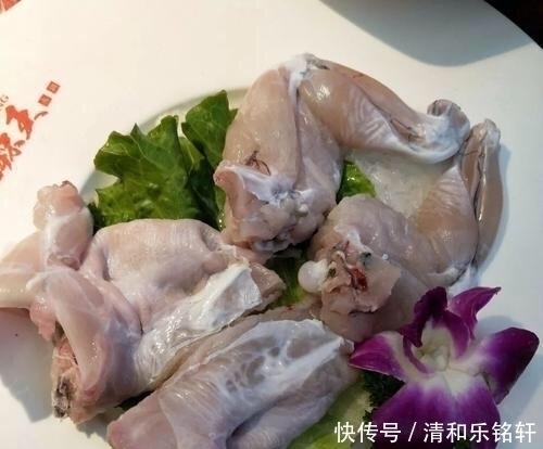 养殖|从入侵物种到大量养殖,它只用了3年,将它放生需面临50万罚款