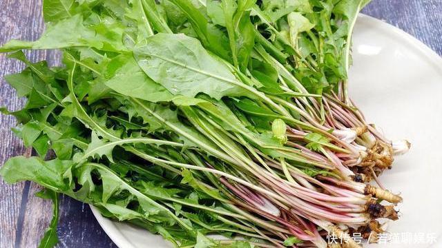 寒性食材|蒲公英和它很“般配”，坚持泡水喝，排肝毒降肝火，皮肤也变好了