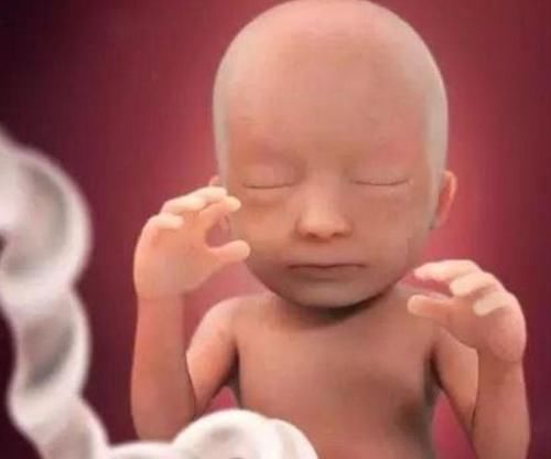 解馋|胎儿的在腹中的反应告诉你,孕妇是可以吃雪糕解馋的